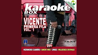 Hermoso Cariño Karaoke Version [upl. by Nerraw]