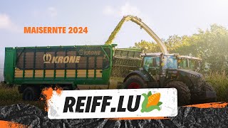 Maisernte 2024 zu Gast bei Lohnunternehmen Reifflu [upl. by Ace]