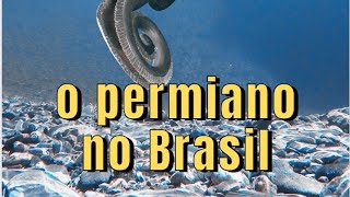 O PERMIANO NO BRASIL [upl. by Khai454]