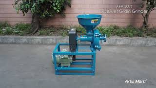 Artis Marti 260 Wetampdry grain grinding machine with powerful motor [upl. by Tommi302]