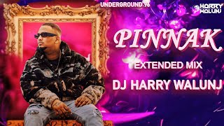 Pinnak  Extended Mix Dj Harry Waluanj Sambata  आमची पब्लिक फक्त लव लावती  33 [upl. by Pillihpnhoj]