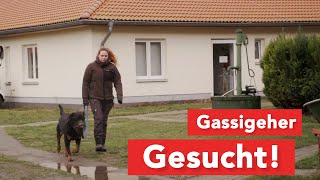 Tierheim Dorf Mecklenburg sucht Gassigeher [upl. by Aihsatan860]