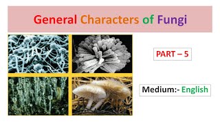 General Characters of Fungi Part5 English [upl. by Anilag]