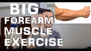 How to Workout the Brachioradialis Muscle for Bigger Forearms [upl. by Oina]