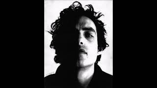 The Wallflowers One Headlight live 2005 half acoustic full band [upl. by Lirbaj]