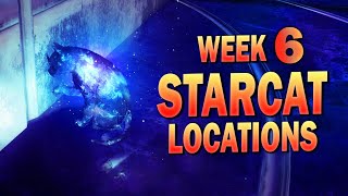 All Hidden Starcats in Destiny 2 Season of the Wish WEEK 6 13 LOCATIONS [upl. by Alihs]