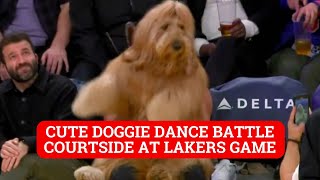 Brodie the dog from TikTok does an adorable courtside dance at Lakers game [upl. by Ecnerat]