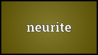 Neurite Meaning [upl. by Naihtsirc187]