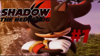 FORWARD MOTION  Shadow the Hedgehog 1  Too Many Games [upl. by Min]