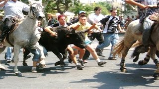 La bandido au Grau du Roi en septembre 2014 Gard [upl. by Krute]