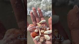 ولدت في جويلية اناشيد لايك اكسبلور lyricvideo arabic song اناشيد love [upl. by Stanislas]