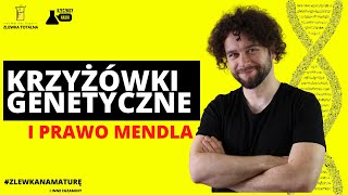 KRZYŻÓWKI GENETYCZNE I PRAWO MENDLA  Genetyka klasyczna Matura z biologii 2023 [upl. by Dihsar]