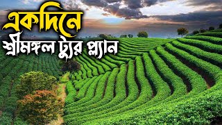 একদিনে শ্রীমঙ্গল ট্যুর প্ল্যান  Sreemangal Tour [upl. by Deadman639]