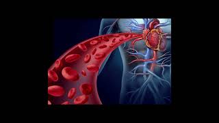 Acute Coronary Syndrome Symptoms and Causes  Diagnosis  Treatment  Prevention healthcare [upl. by Pacheco]