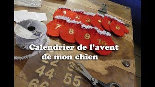 Calendrier de lavent de mon chien  DIY [upl. by Northway63]