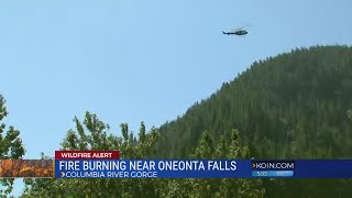 Wildfire burning near Oneonta Falls in the Gorge [upl. by Qooraf]