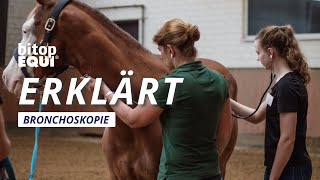 bitopEQUI® erklärt Bronchoskopie [upl. by Airrat]