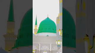 Dar e nabi par ye umr bite 💚  shorts viral trending islamicvideo [upl. by Fernas]