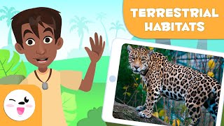 Explore Terrestrial Habitats  Types of Habitats for Children [upl. by Antrim183]