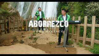 LOBO MIXTECO  ABORREZCO Video Clip 4k [upl. by Marinna472]