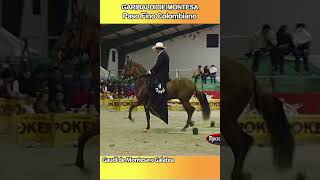 GARIBALDI DE MONTESA PASO FINO COLOMBIANO pasofino caballos horse shortsvideo [upl. by Ilujna]