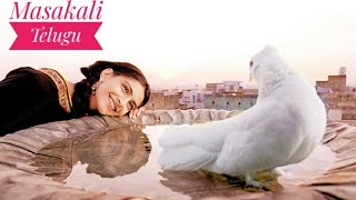 Masakali Song Telugu  Manohari Manohari  Delhi 6 Telugu Dubbed Movie [upl. by Flem968]