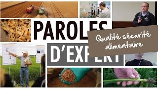 Paroles dexpert  Qualité sécurité alimentaire [upl. by Ainafets]