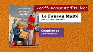 🔴📙🔊 Le Faucon Malté 12  Le professeur  Livre Audio [upl. by Suvart]