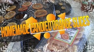 Trader Joe Inspired  Candied Orange Slices [upl. by Wallie]