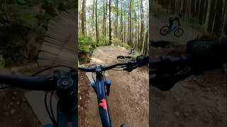 Bobsled gives you great Flow 🇨🇦🌲🚵‍♂️🎢enduromtb canada northshore mtb [upl. by Llednohs]