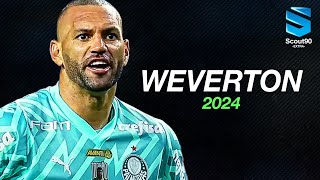 Weverton 2024 ► Palmeiras  Defesas Incríveis amp Reflexos Absurdos  HD [upl. by Keelin125]