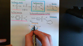 Folate Antagonist Antibiotics Part 1 [upl. by Sedinoel932]