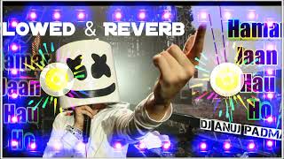 SlowedReverb Hamar Jaan Hau Ho Dj Song ☆ Dj Anuj Padma [upl. by Adlemi]