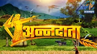 क्यों गाजर घास खेतों के लिए है खतरा   अन्नदाता  ETV Rajasthan [upl. by Laden]