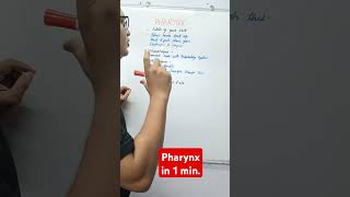 Pharynx in 1 min  pharynx medical neet science biology rinkeshpariyani education [upl. by Ahrendt]