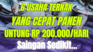 6 USAHA TERNAK YANG CEPAT PANEN UNTUNG 200 RIBU SEHARI YANG MENJANJIKAN Peluang Usaha Peternakan [upl. by Ravens]