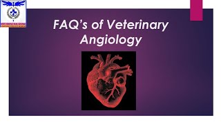 FAQs of Veterinary Angiology 🫀 most imp questionsvetanatomyfaq veterinaryangiology on tips [upl. by Aicire297]