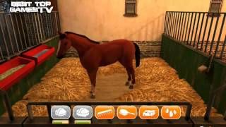 HorseWorld Show Jumping 1 Mobile Horse Game [upl. by Schouten265]