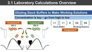 BIO 100 Calculations Hybrid Module 31 Part C Dilutions [upl. by Esenwahs702]