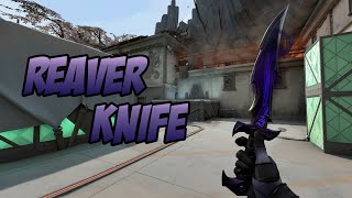 REAVER KNIFE SKIN SHOWCASE REAVER DAGGER  VALORANT REAVER SKINS [upl. by Ledoux918]