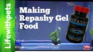 How to Make Repashy Gel Food [upl. by Asteria]