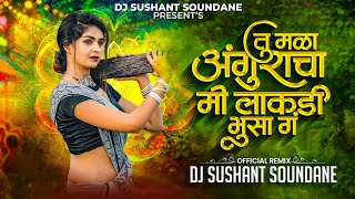 Tu Mala Anguracha Me lakdi Bhusa Ga  तु मळा अंगुराचा मी लाकडी भुसा ग  DJ Sushant Soundane [upl. by Hall]