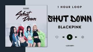 NO ADS  1 Hour BLACKPINK — Shut Down [upl. by Enimassej11]