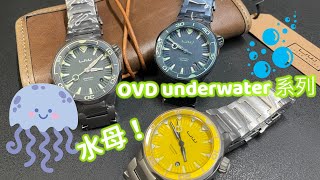 350 潛水大師講吓錶  OVD Under Water Aequorea 水母錶質感唔錯埋嚟睇吓研究吓啦正呀喂 😄 [upl. by Assillam]