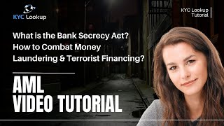 Bank Secrecy Act Explained Combatting Money Laundering amp Terrorist Financing  What is BSA [upl. by Herates686]