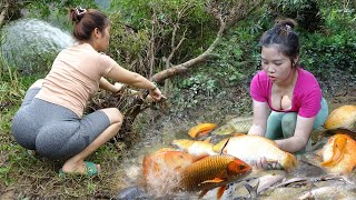 Top videos fishing Wild fishing skills Catching a lot of fish Bushcraft survival  Girl fishing [upl. by Akel]