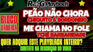 PlayBack BLOCO VANEIRAPeão Não ChoraMe Chama no Fole [upl. by Ecneret557]