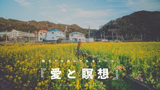 全体  愛と瞑想  from 菜の花畑 [upl. by Adrian]