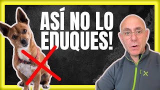 ❌ Lo que Haces MAL con Tu PERRO aL ENTRENARLO y EDUCARLO [upl. by Ingham]