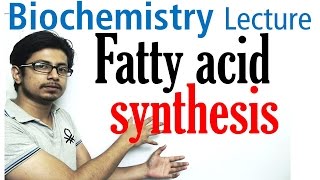 Fatty acid synthesis [upl. by Jacobo]